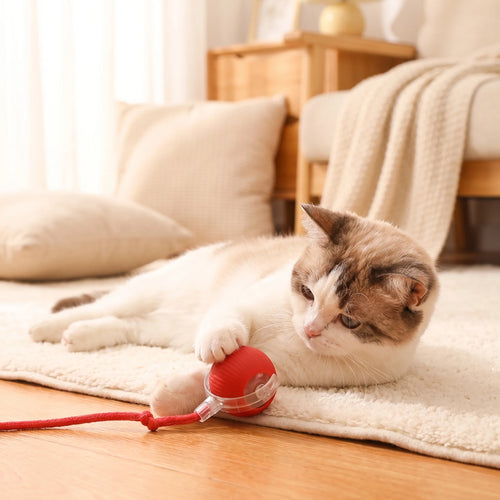 Automatic Cat Teaser Ball
