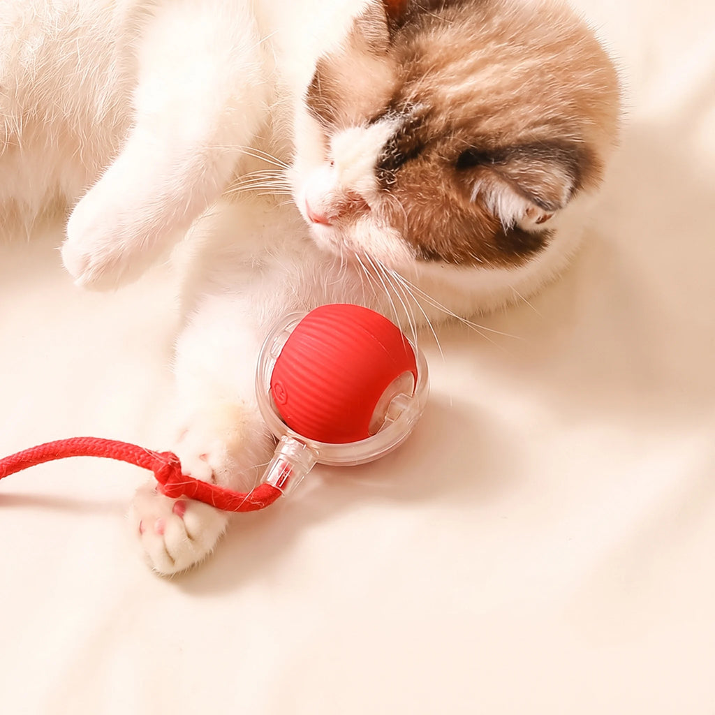 Automatic Cat Teaser Ball