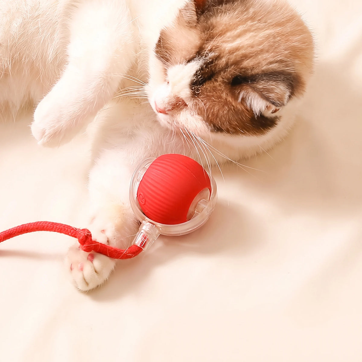 Automatic Cat Teaser Ball