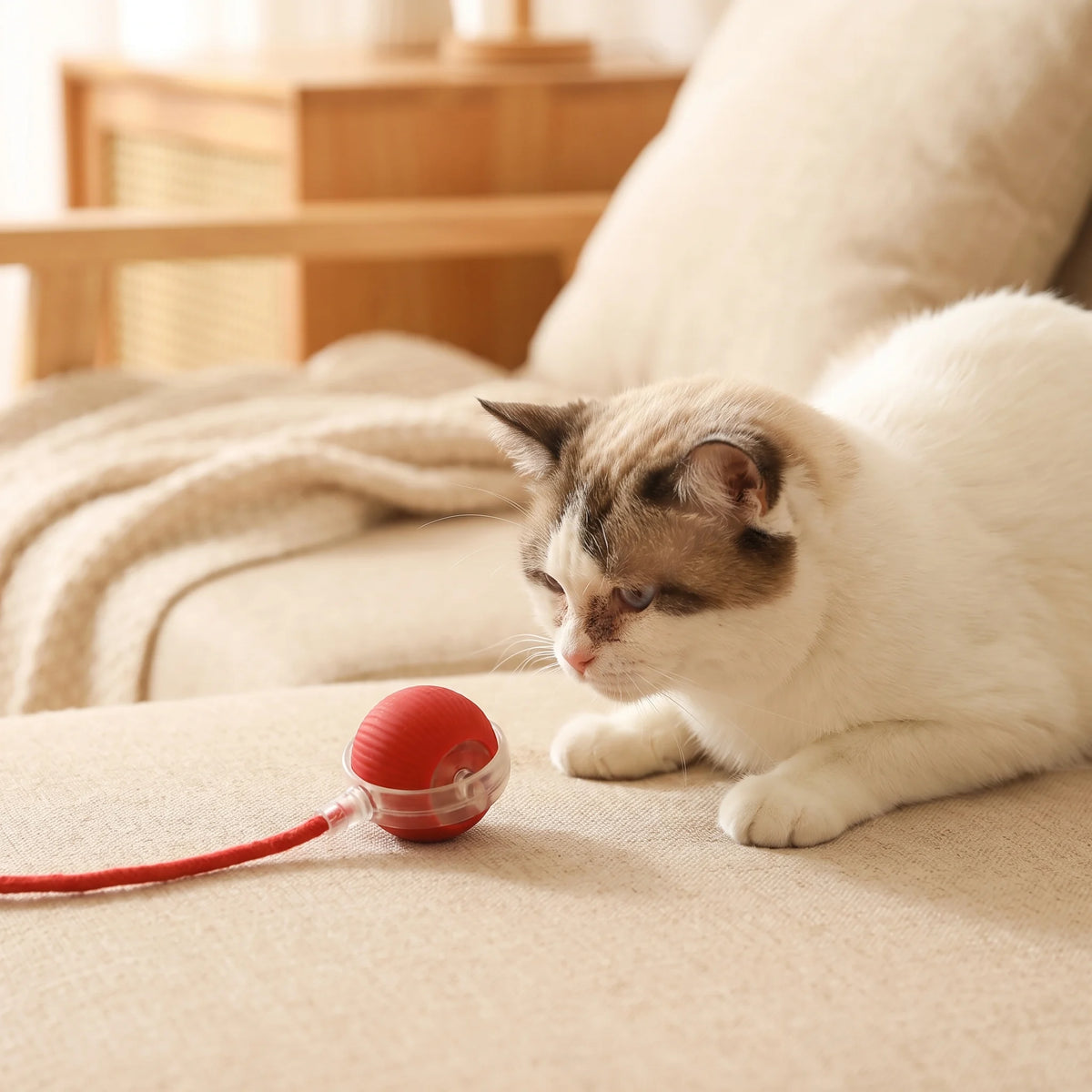 Automatic Cat Teaser Ball