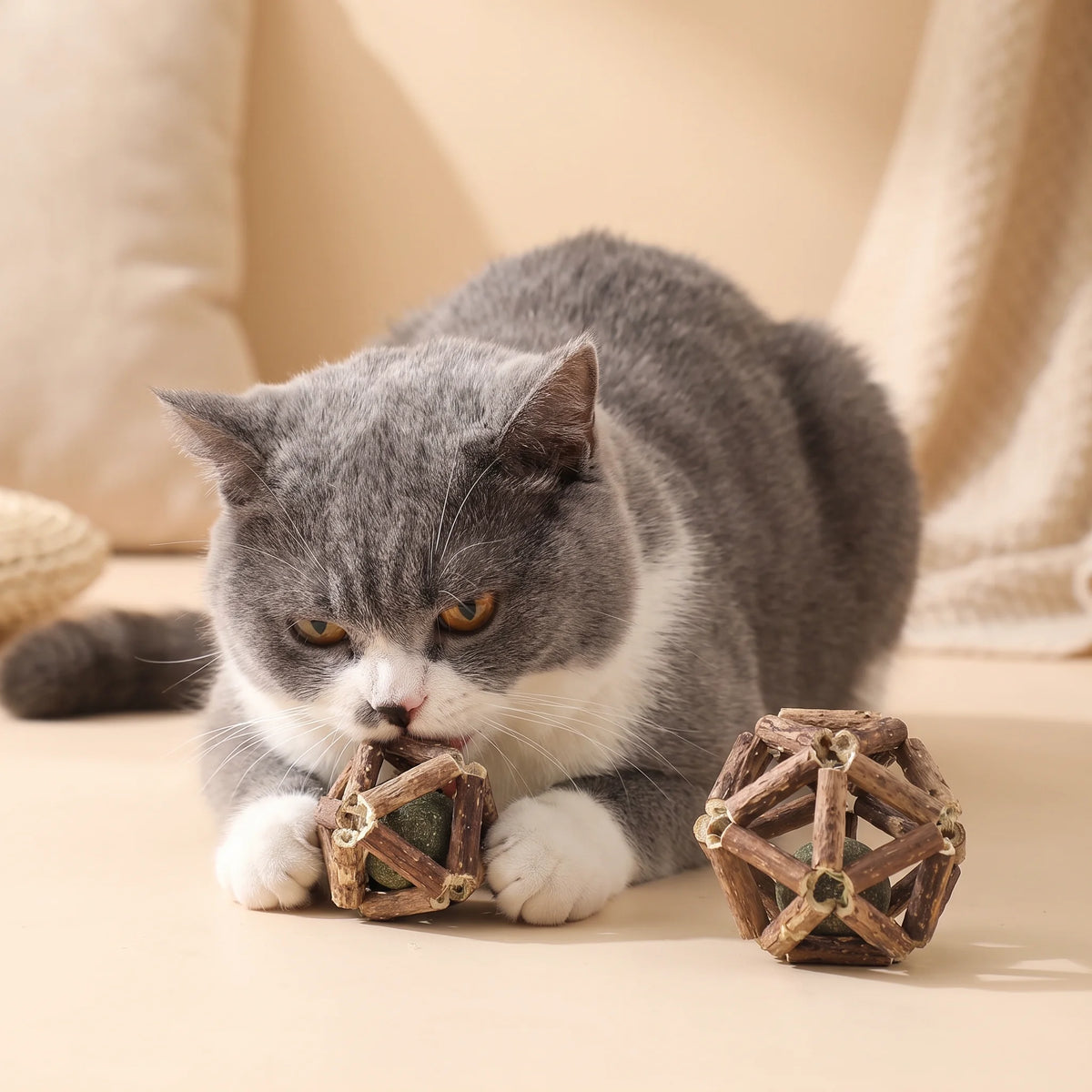 Catnip and Silvervine Ball