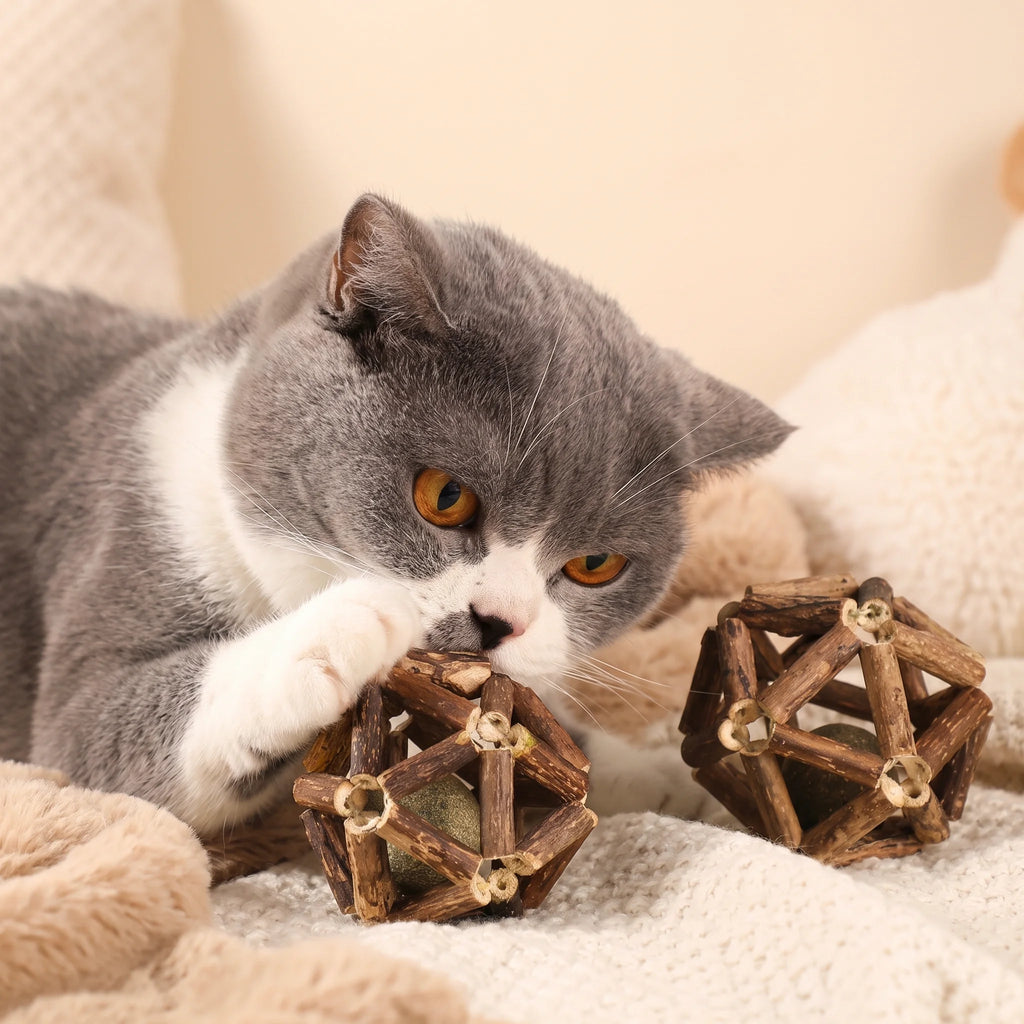 Catnip and Silvervine Ball