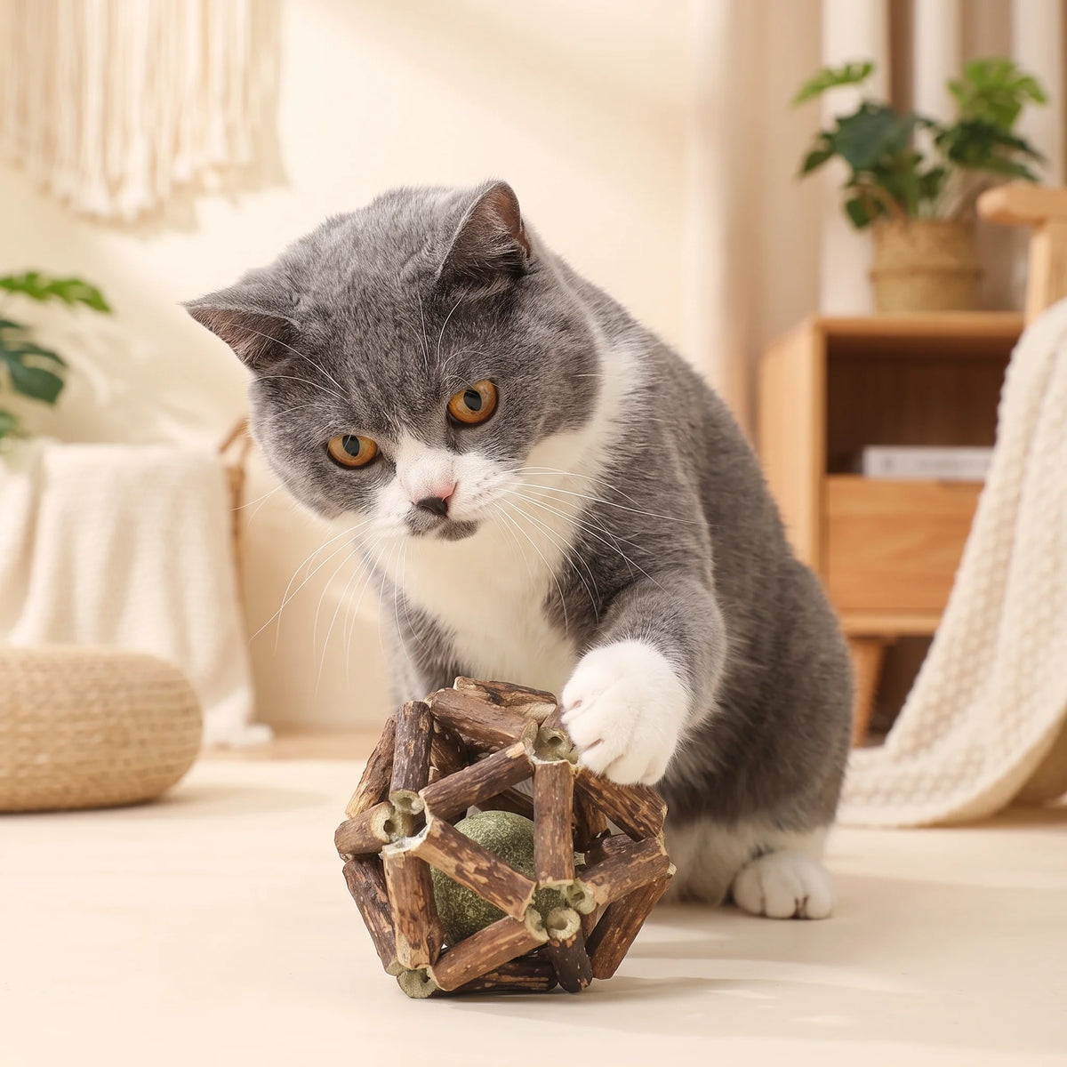 Catnip and Silvervine Ball