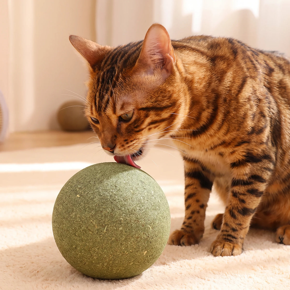 Catnip balls