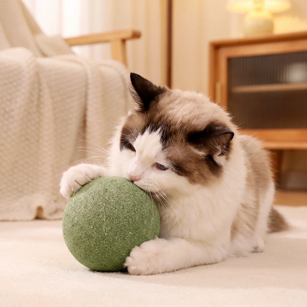Catnip balls
